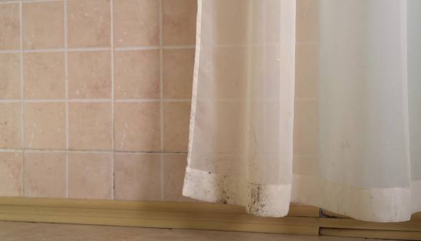 Best Mold Remediation for Healthcare Facilities  in North Eastham, MA
