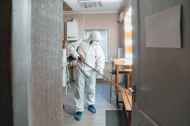 Best Mold Documentation for Insurance Claims  in North Eastham, MA