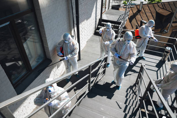 Best Commercial Mold Inspection  in North Eastham, MA
