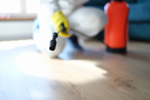 Mold Removal for HVAC Installations in North Eastham, MA