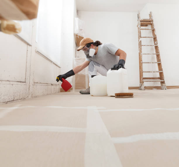 Best Emergency Mold Remediation  in North Eastham, MA